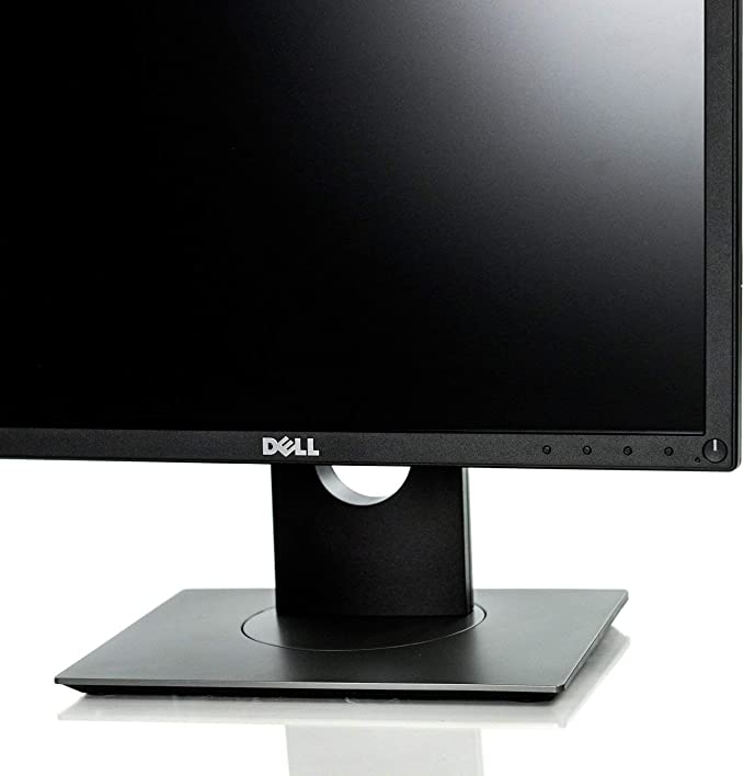 Dell Professional P1917S