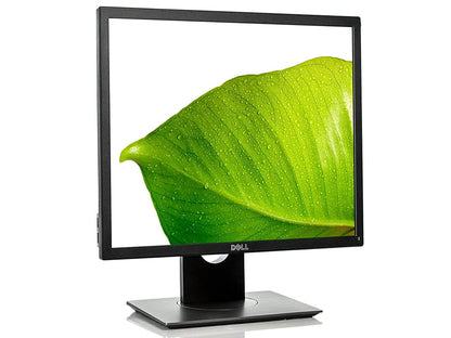 Dell Professional P1917S